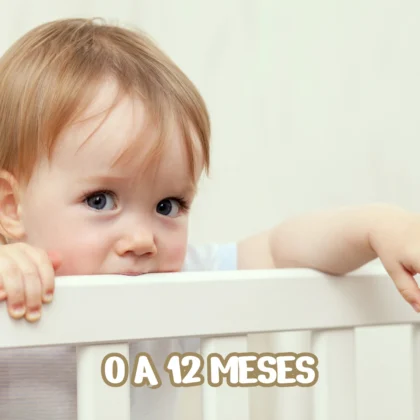 0 a 12 meses