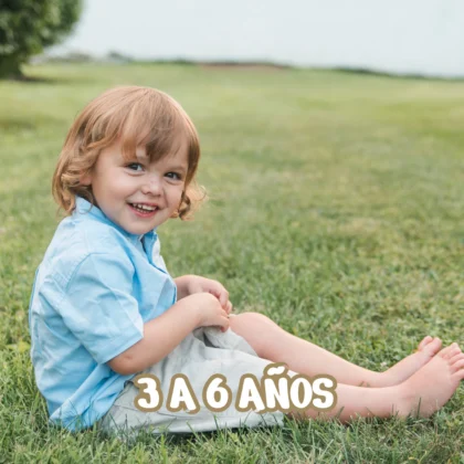 3 a 6 años